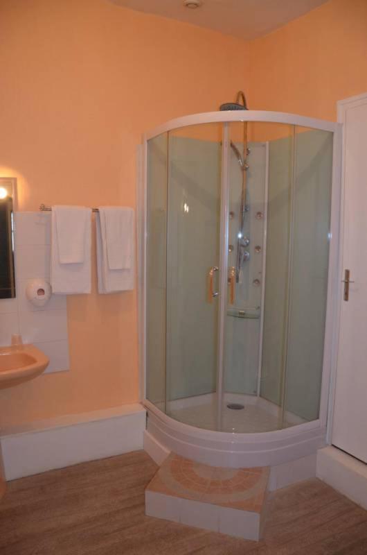 Le Lion D'Or Hotel Selles-sur-Cher Eksteriør billede